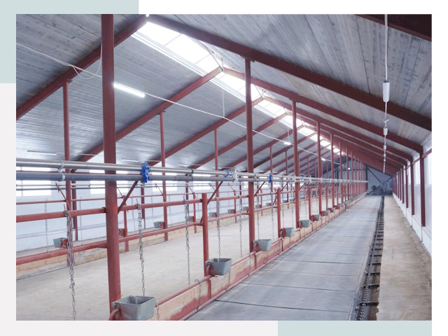 Строительство коровников в Белогорске от 612 руб.