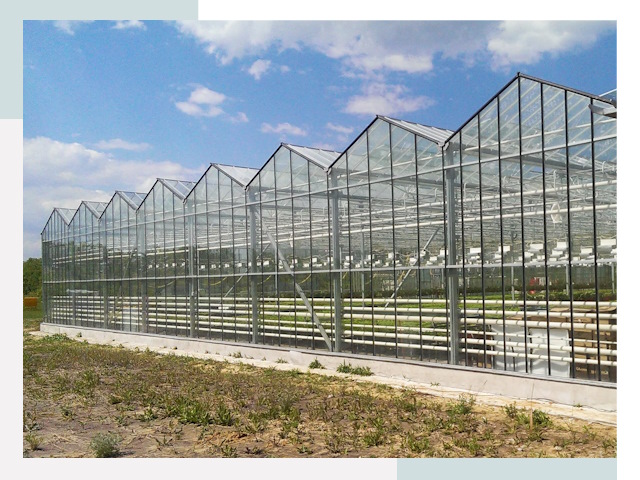 Строительство теплиц в Белогорск от 612 руб. за м²